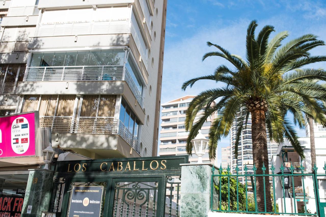 My Sweet Blue Apartment Benidorm Buitenkant foto